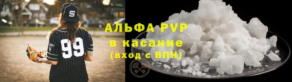 СК Алзамай